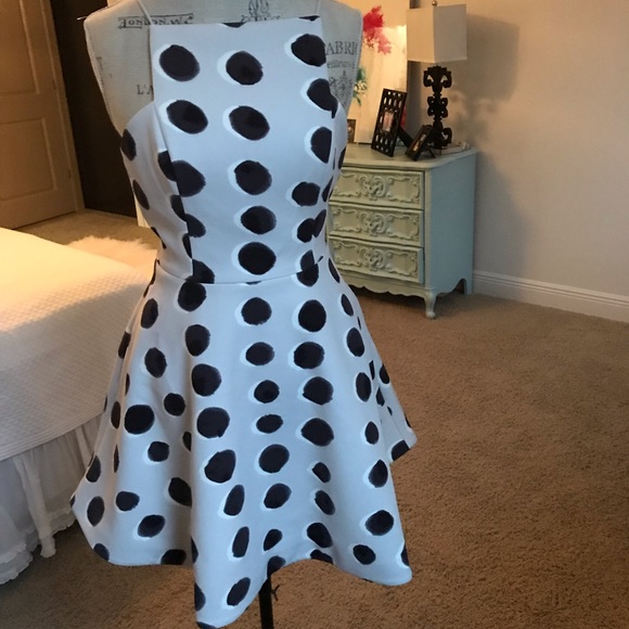 keepsake the label polka dot dress